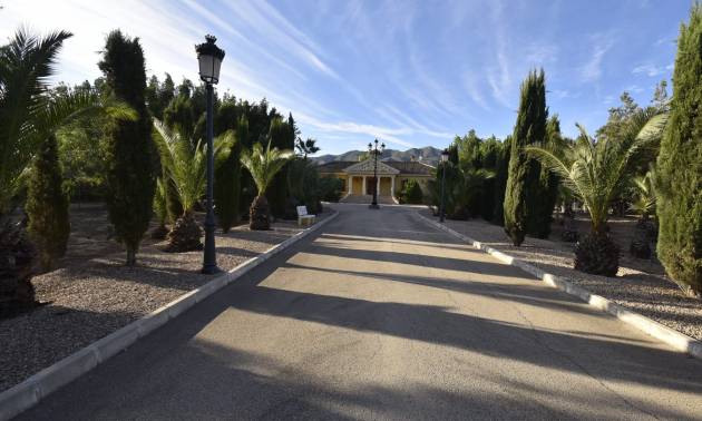 5. Finca / Country Property - Second hand - La Matanza - La Matanza