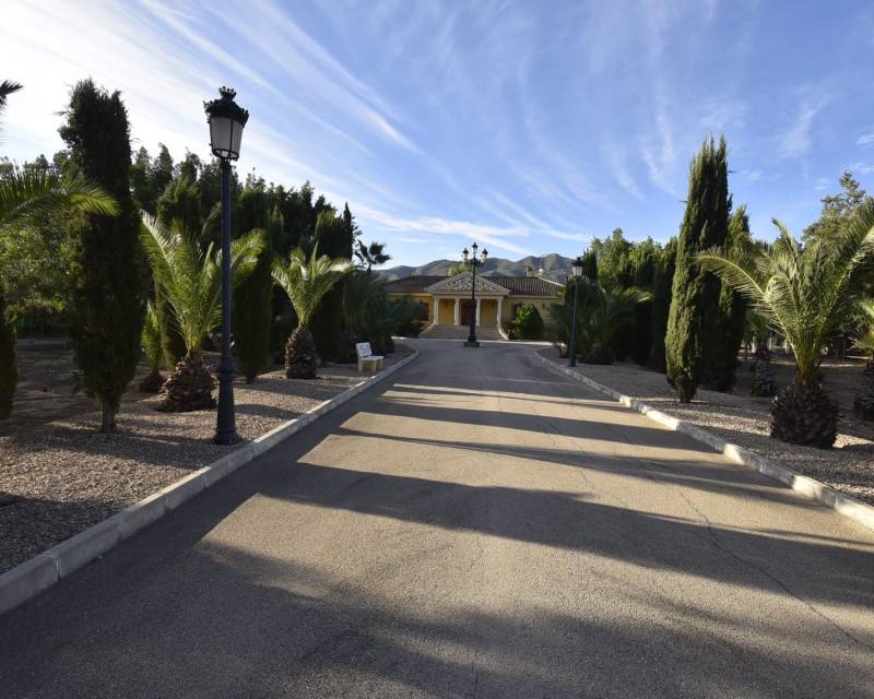 5. Finca / Propiedad en el campo · Segunda Mano · La Matanza · La Matanza