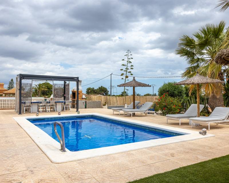 5. Finca / Propriété de campagne · D'occasion · Albatera · Albatera