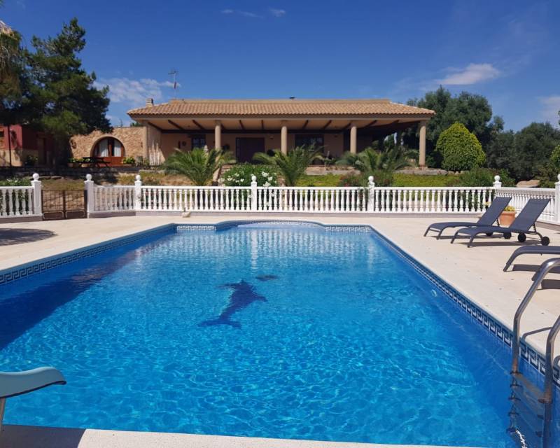 5. Finca / Propriété de campagne · D'occasion · MURCIA · MURCIA