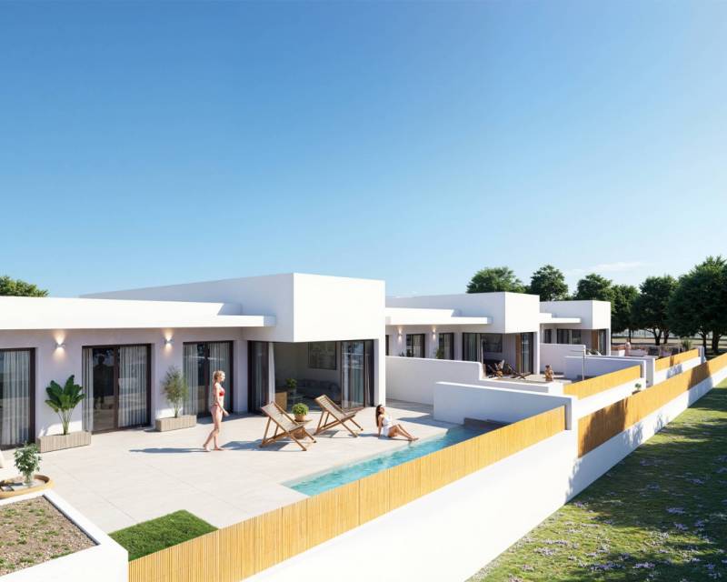 Adosado · Nueva construcción  · Dolores · Dolores