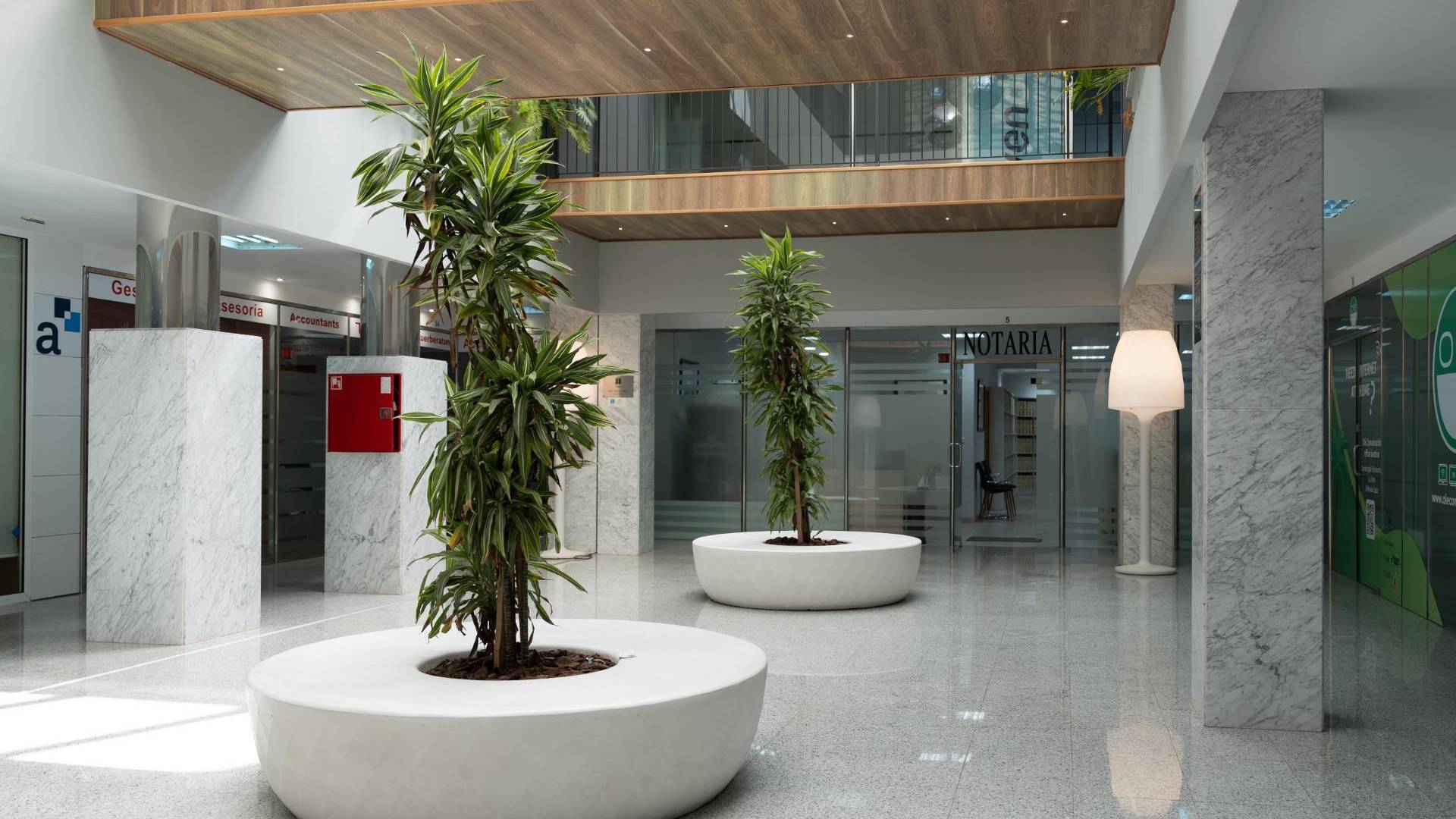 Alquiler a largo plazo - Local Comercial - Orihuela Costa - Playa Flamenca