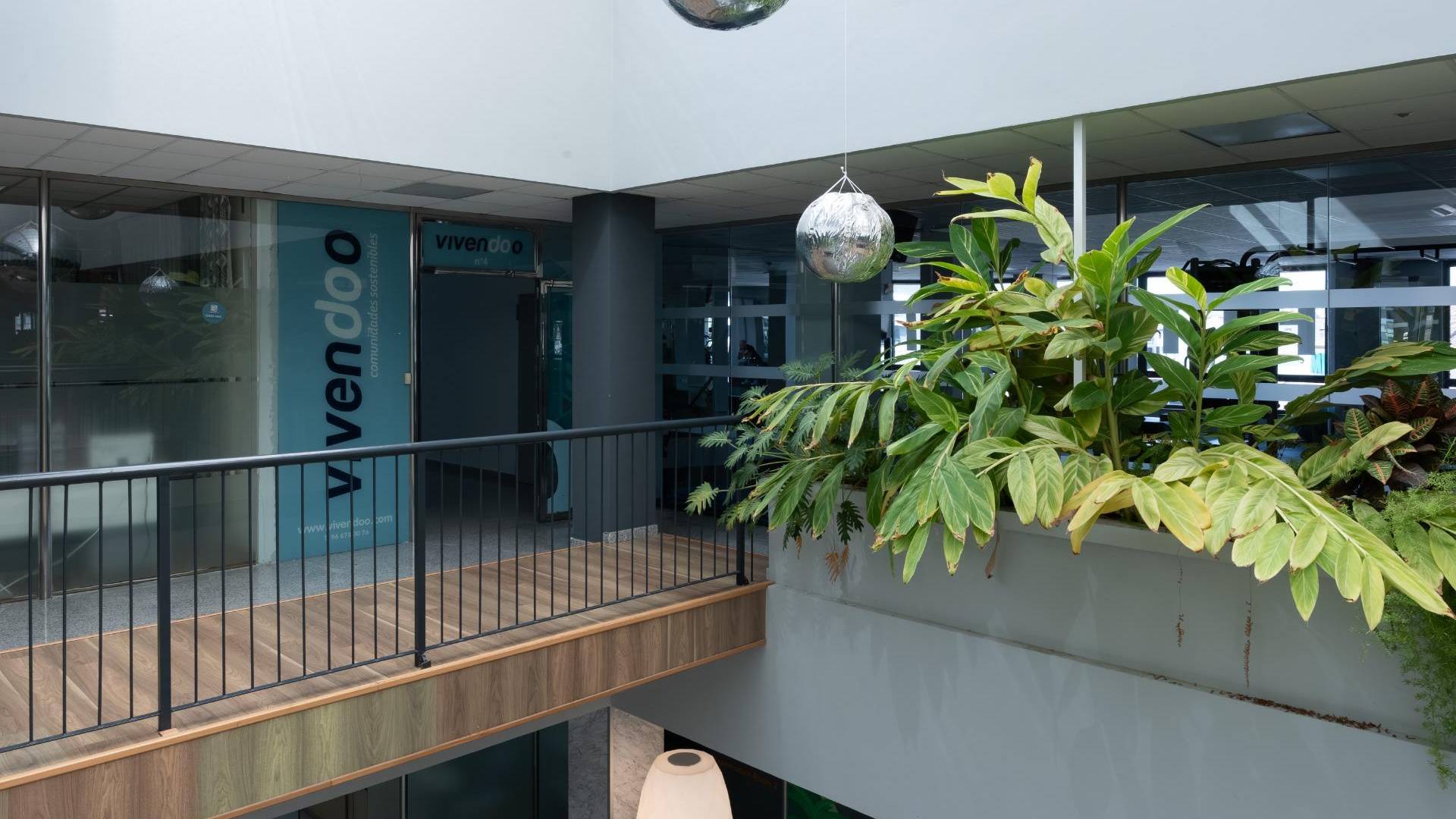 Alquiler a largo plazo - Local Comercial - Orihuela Costa - Playa Flamenca