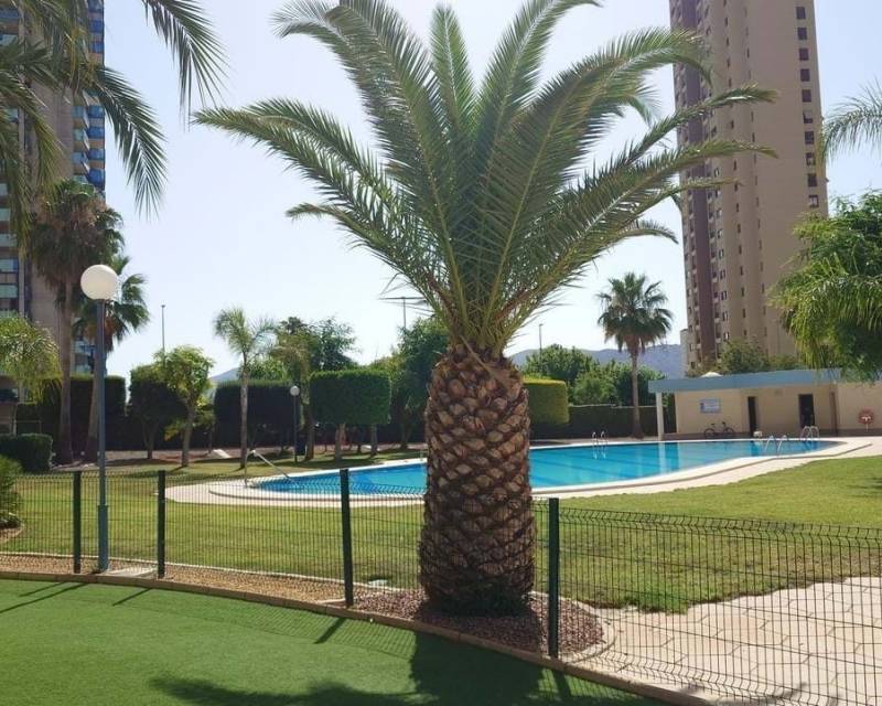 Apartamento · Gebraucht · Benidorm · Benidorm