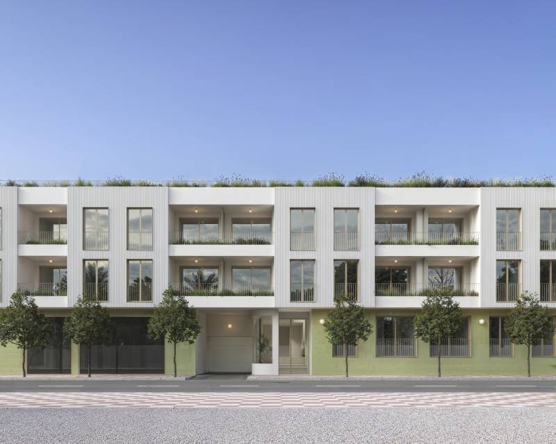 Apartamento · Nueva construcción  · Jacarilla · Jacarilla