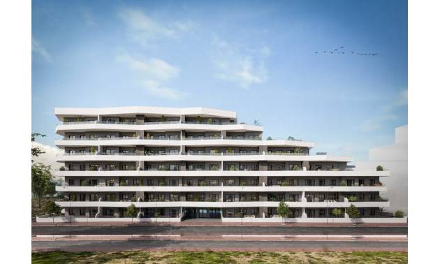 Apartamento - Nueva construcción  - San Miguel de Salinas - San Miguel de Salinas