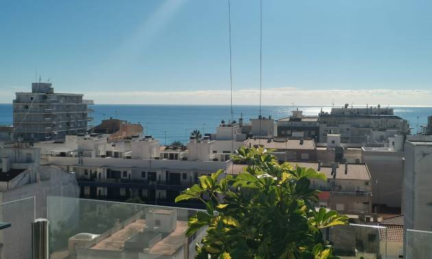 Apartamento - Nueva construcción  - Torrevieja - Centro