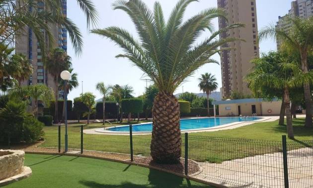 Apartamento - Segunda Mano - Benidorm - Benidorm