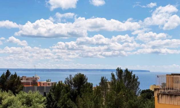 Apartamento - Segunda Mano - Palma - Sant Agustí