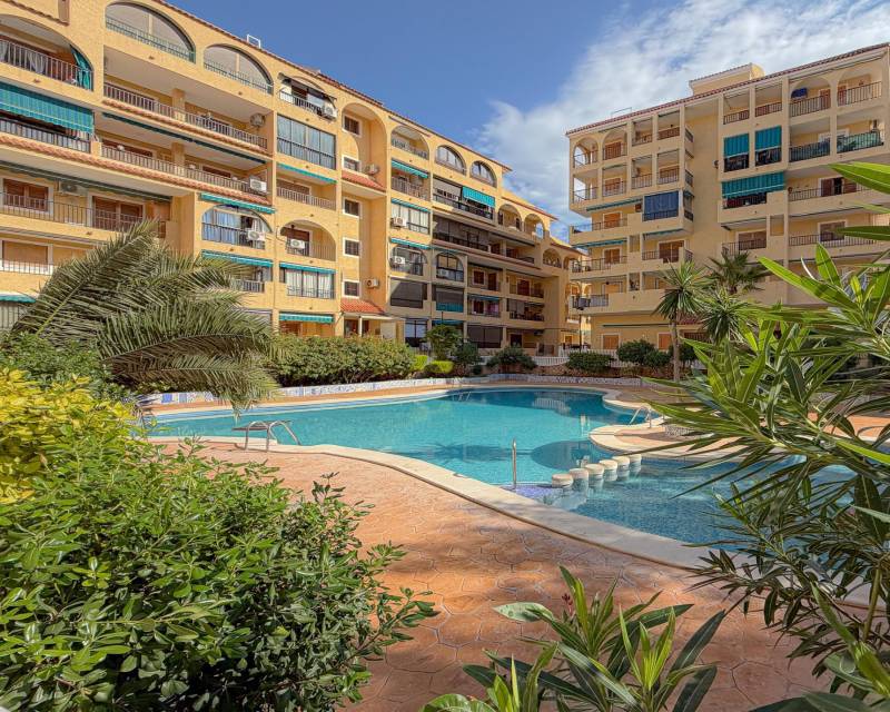 Apartamento · Segunda Mano · Torrevieja · La Mata