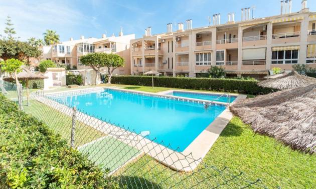 Apartamento - Segunda Mano - Torrevieja - Los Frutales