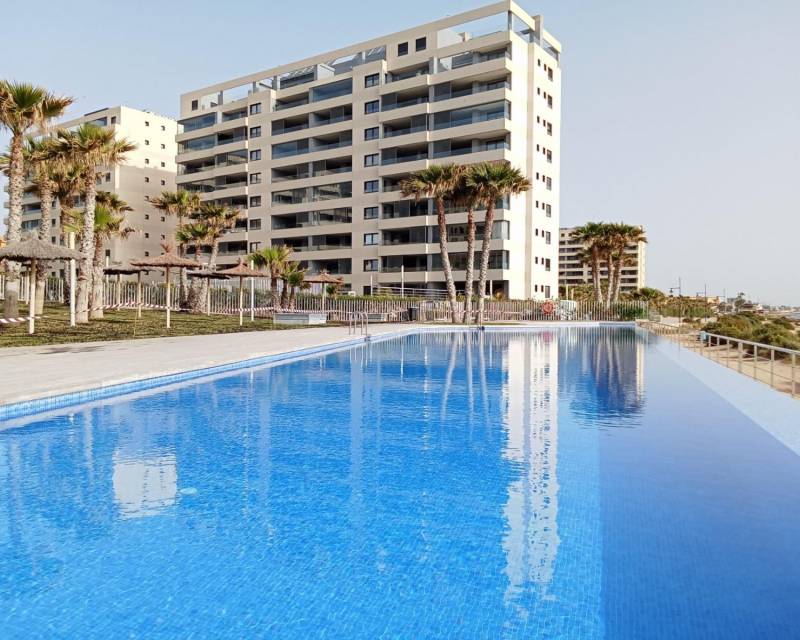 Apartamento · Segunda Mano · Torrevieja · Punta Prima