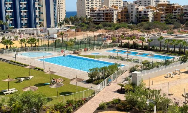 Apartamento - Segunda Mano - Torrevieja - Torrevieja