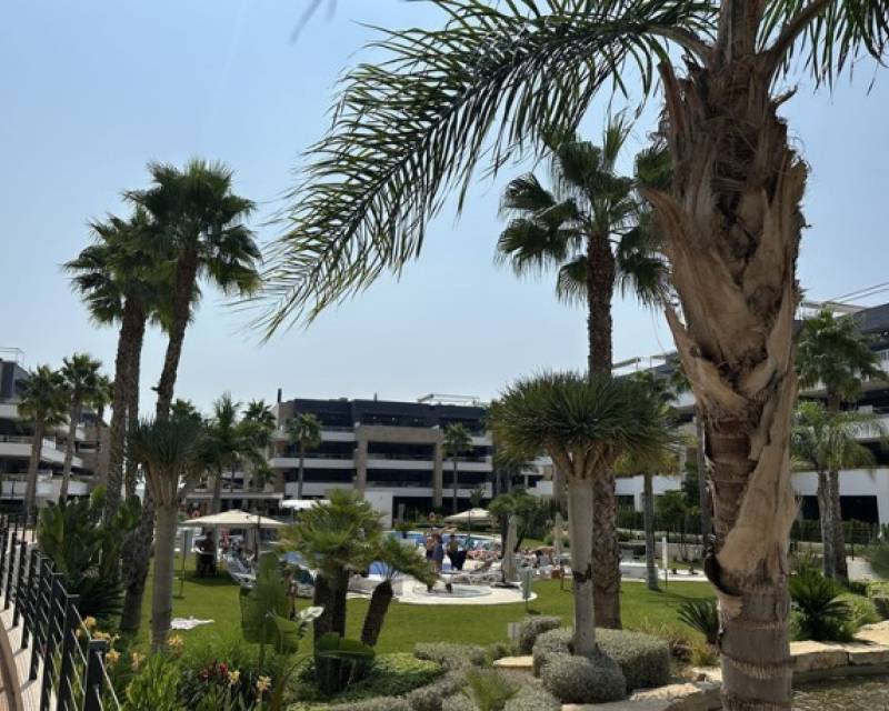 Apartment - Flat · Second hand · Orihuela Costa · Playa Flamenca