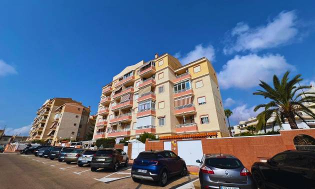 Apartment - Flat - Second hand - Torrevieja - Torrevieja/Calas Blancas
