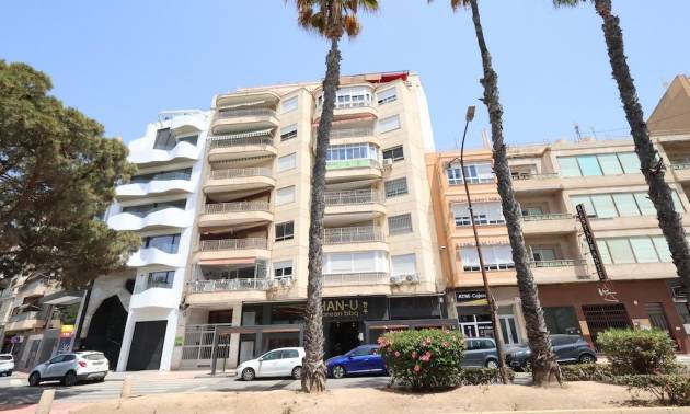 Apartment - Second hand - Torrevieja - Torrevieja