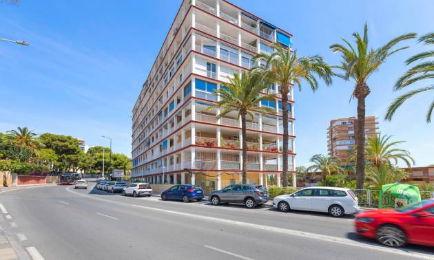 Appartement - D'occasion - Alicante - Alicante