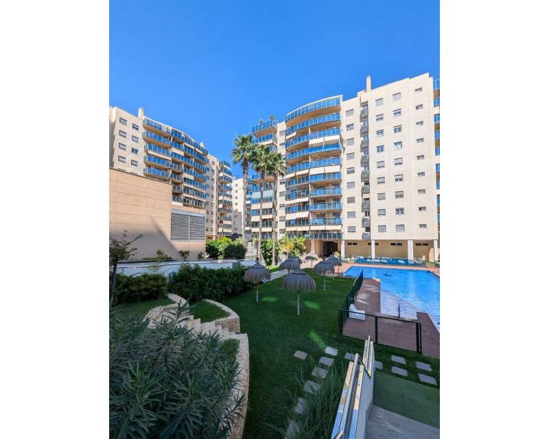 Appartement · D'occasion · El Campello · Campello