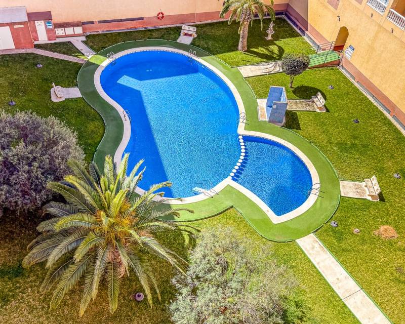 Appartement · D'occasion · Torrevieja · Parque de las Naciones