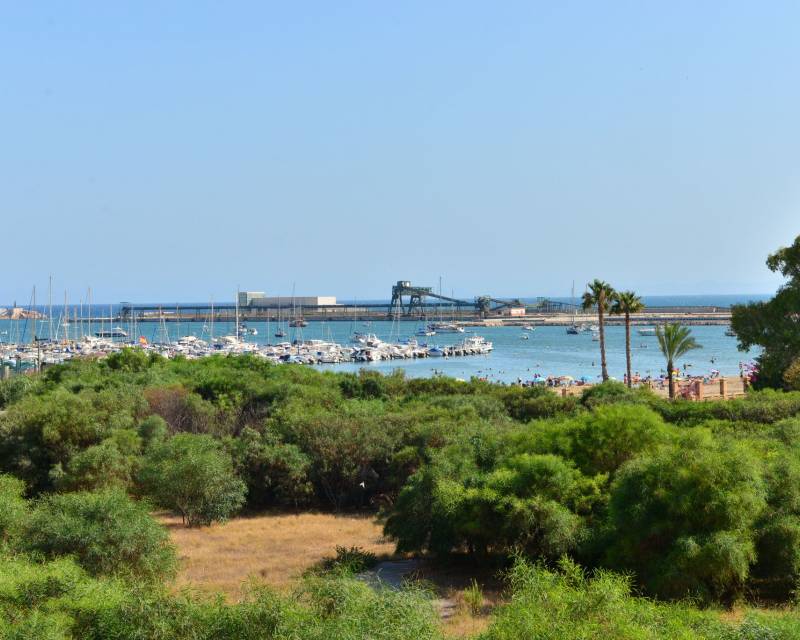 Appartement · D'occasion · Torrevieja · Torrevieja