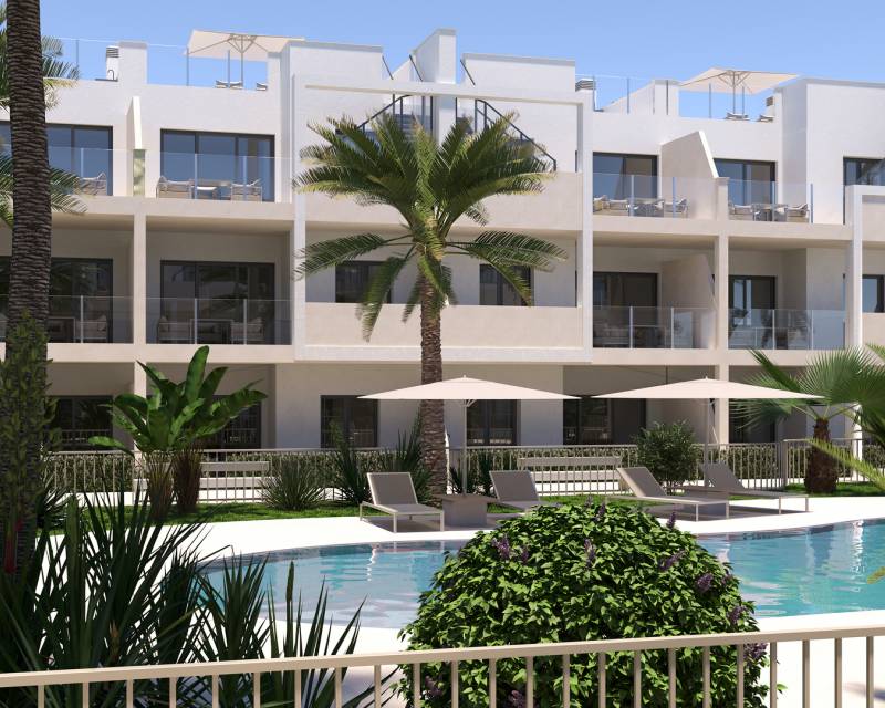 Appartement · Nouvelle construction · San Cayetano · San Cayetano