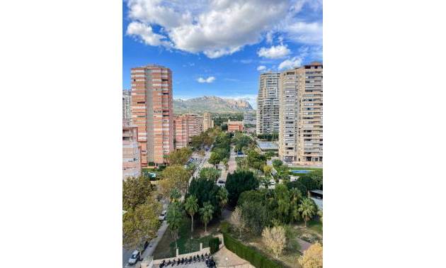 Appartement - Plat - Tweedehands - Benidorm - Levante