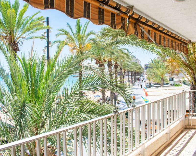 Appartement - Plat · Tweedehands · Torrevieja · Playa del cura