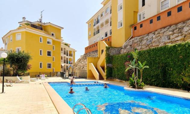 Appartement - Tweedehands - Orihuela Costa - Campoamor