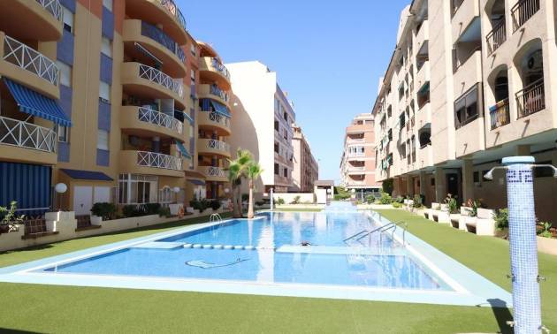 Appartement - Tweedehands - Torrevieja - Centro