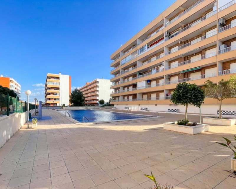 - APPARTEMENT · Tweedehands · Torrevieja · 