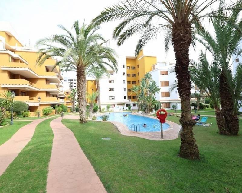 Ático · Segunda Mano · Torrevieja · Punta prima