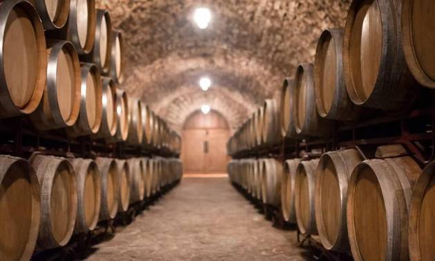 Bodega - Segunda Mano - Albacete - Albacete