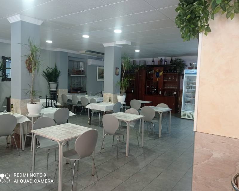 Commerce local · D'occasion · Torrevieja · Torrevieja
