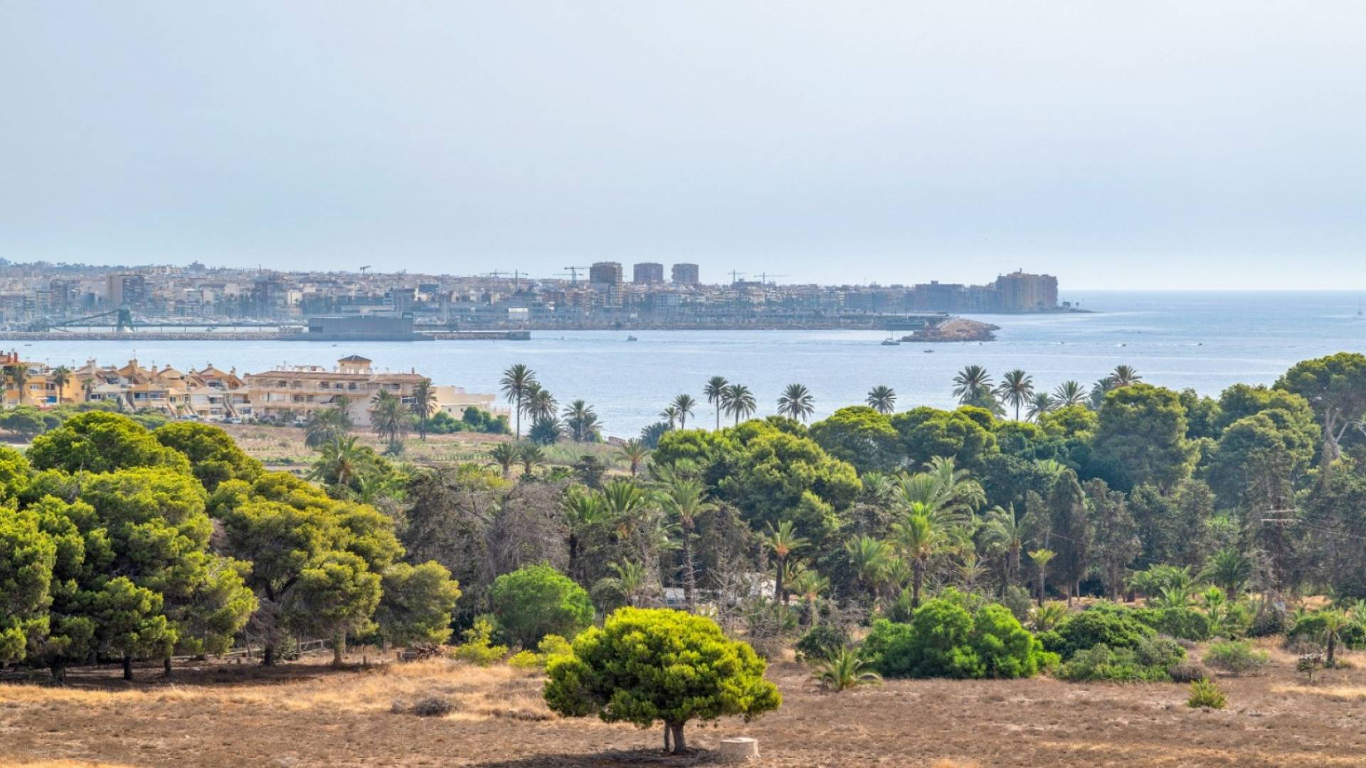 D'occasion - Appartement - Orihuela Costa - Punta Prima