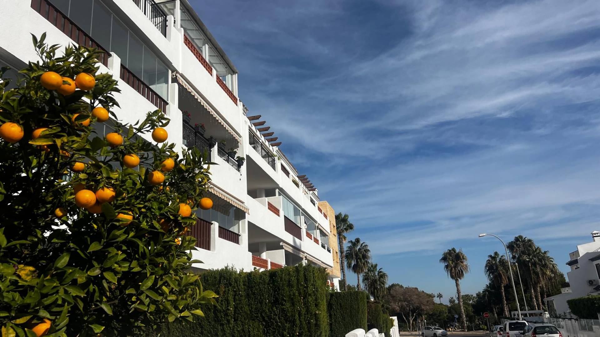 D'occasion - Appartement - Orihuela - Villamartin