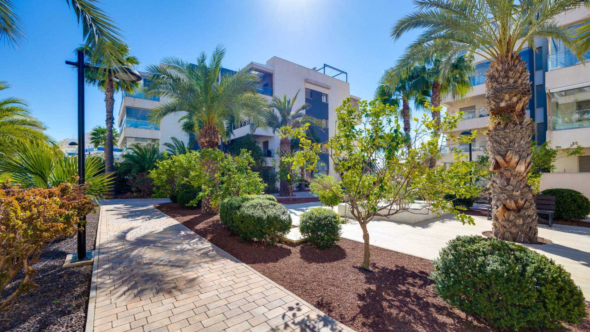 D'occasion - Appartement - Orihuela - Villamartin