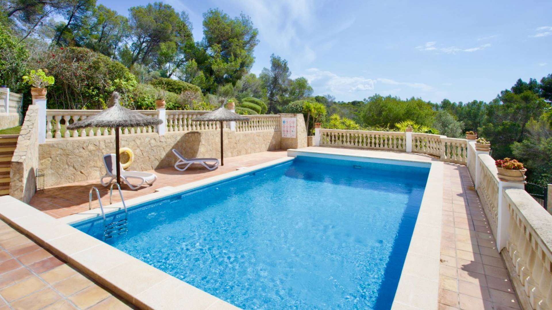 D'occasion - Appartement - Portals Nous - Calvià