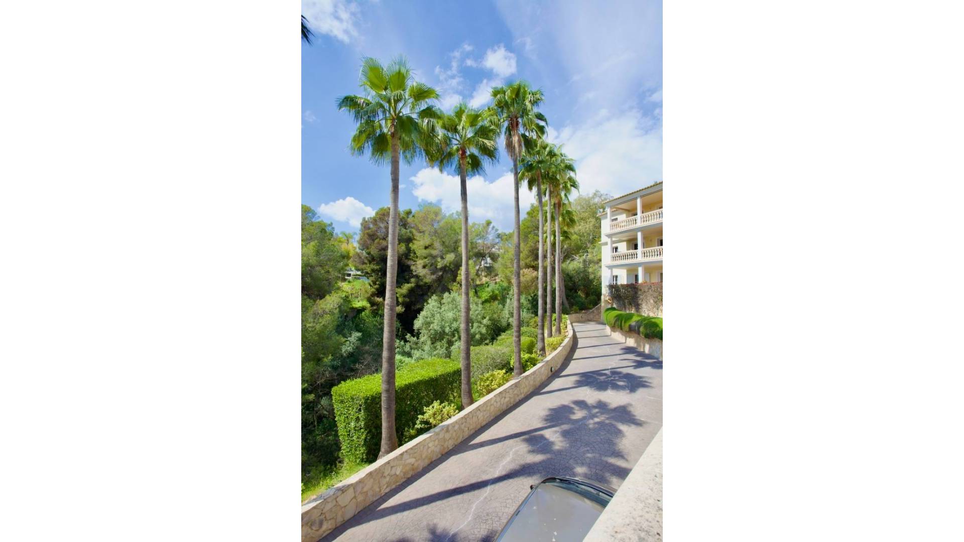 D'occasion - Appartement - Portals Nous - Calvià