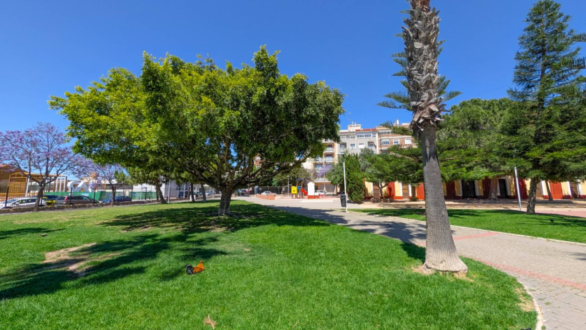 D'occasion - Appartement - Torrevieja - Acequion