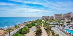 D'occasion - Appartement - Torrevieja - Cabo Cervera