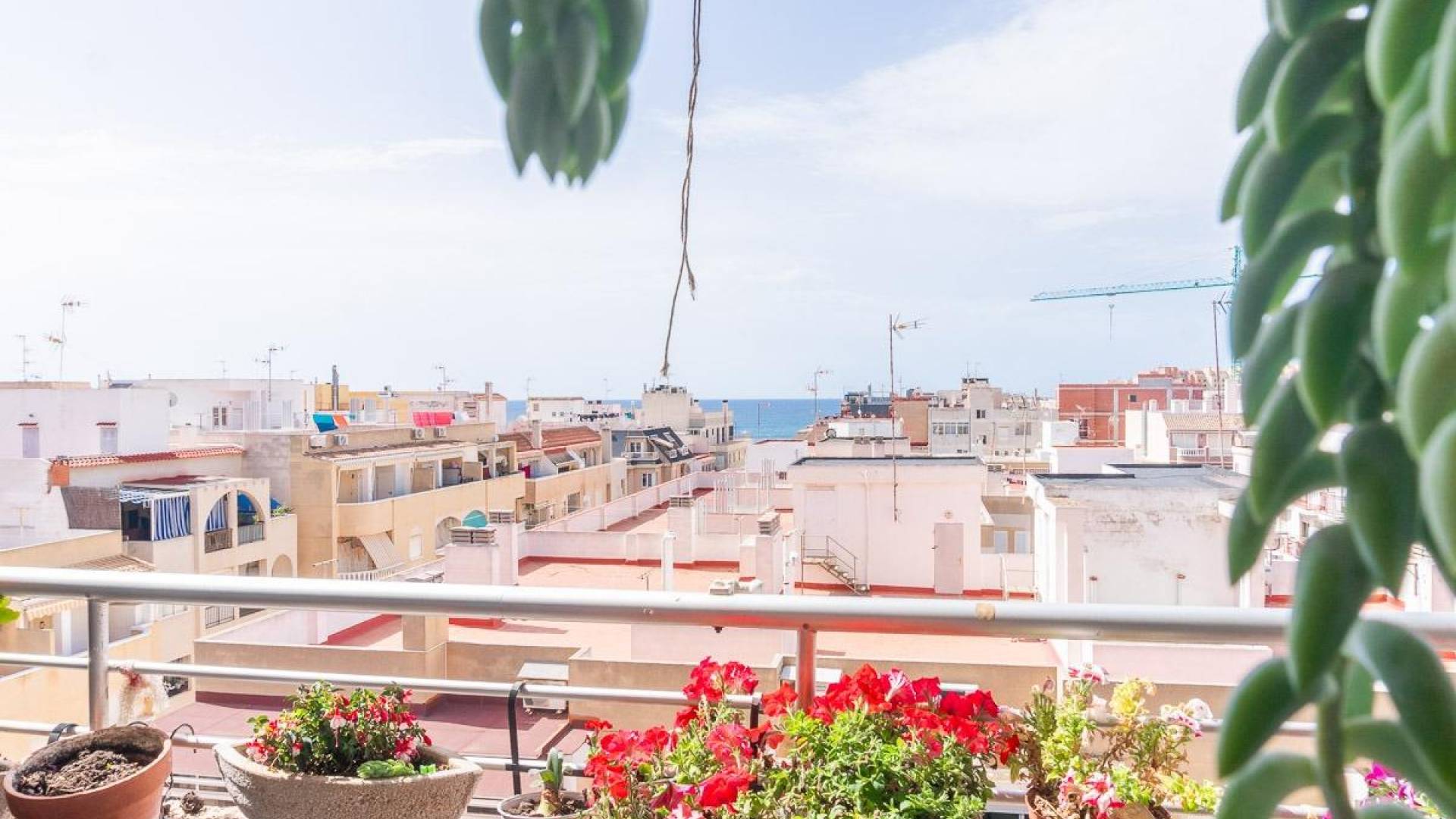 D'occasion - Appartement - Torrevieja - Curva del Palangre