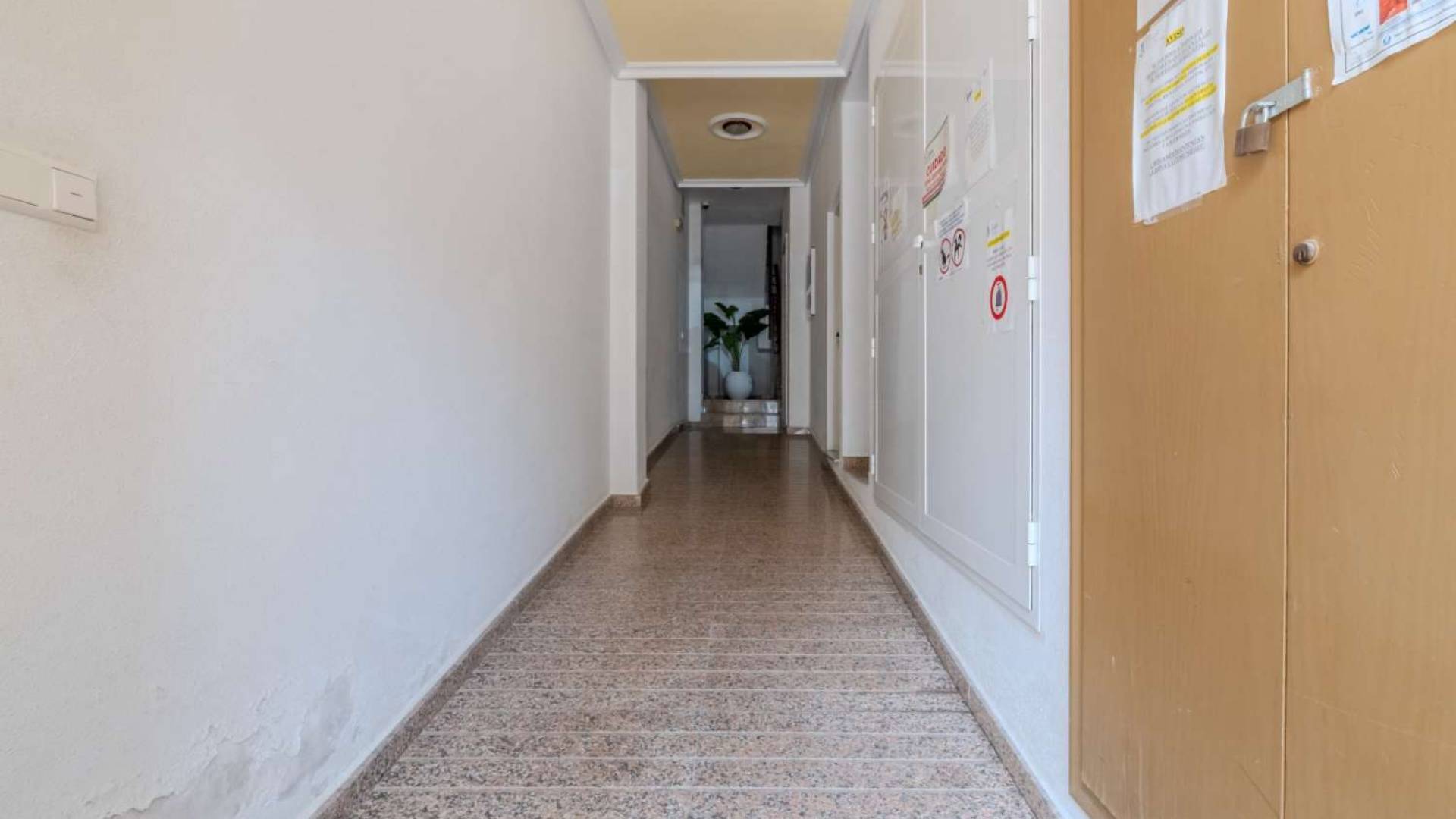 D'occasion - Appartement - Torrevieja - El Molino