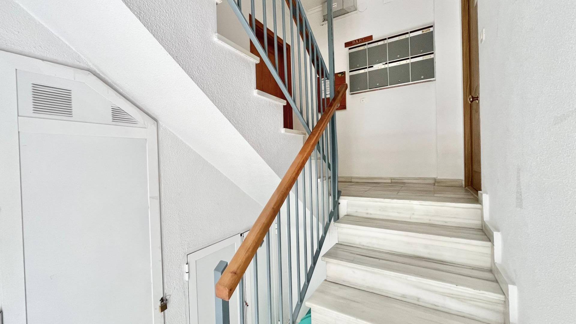 D'occasion - Appartement - Torrevieja - Estacion de autobuses