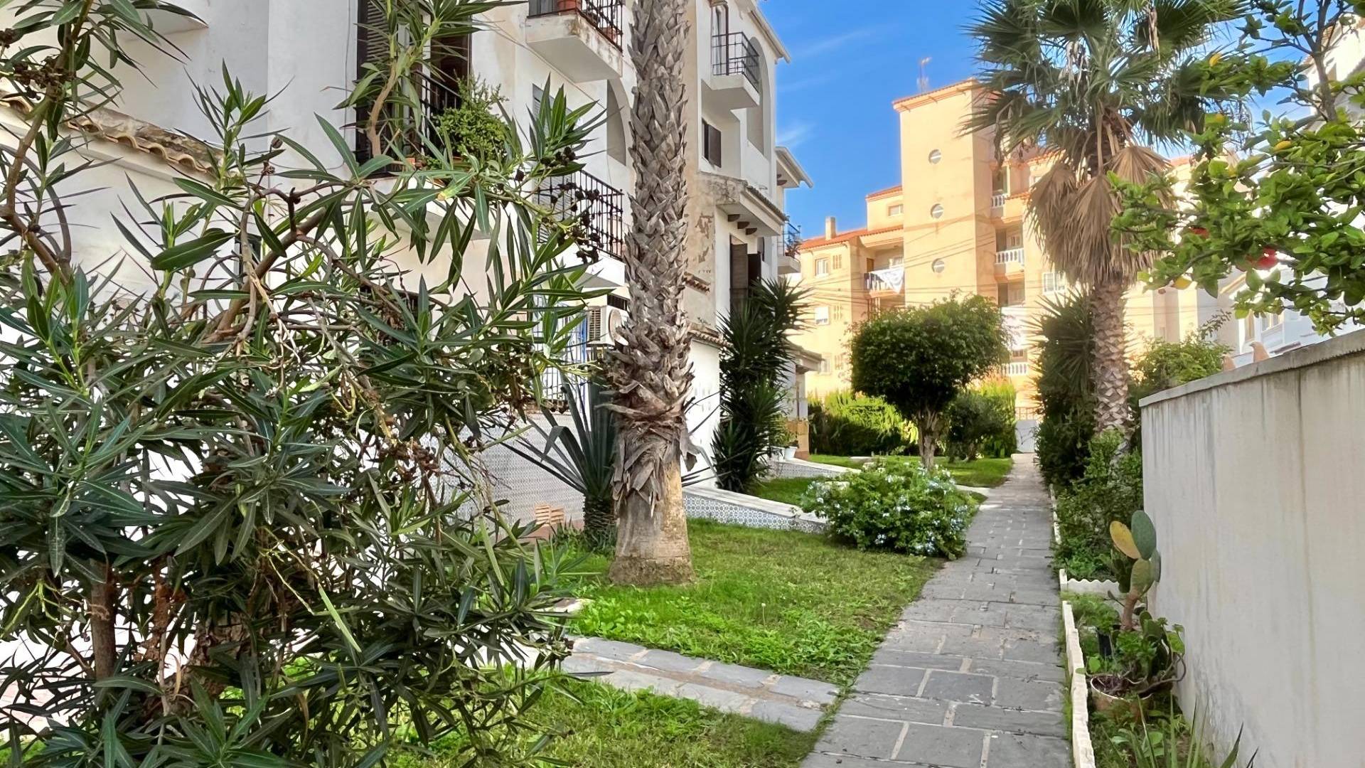 D'occasion - Appartement - Torrevieja - Estacion de autobuses