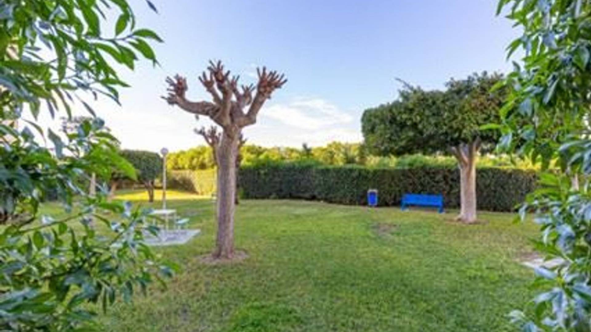 D'occasion - Appartement - Torrevieja - La Mata