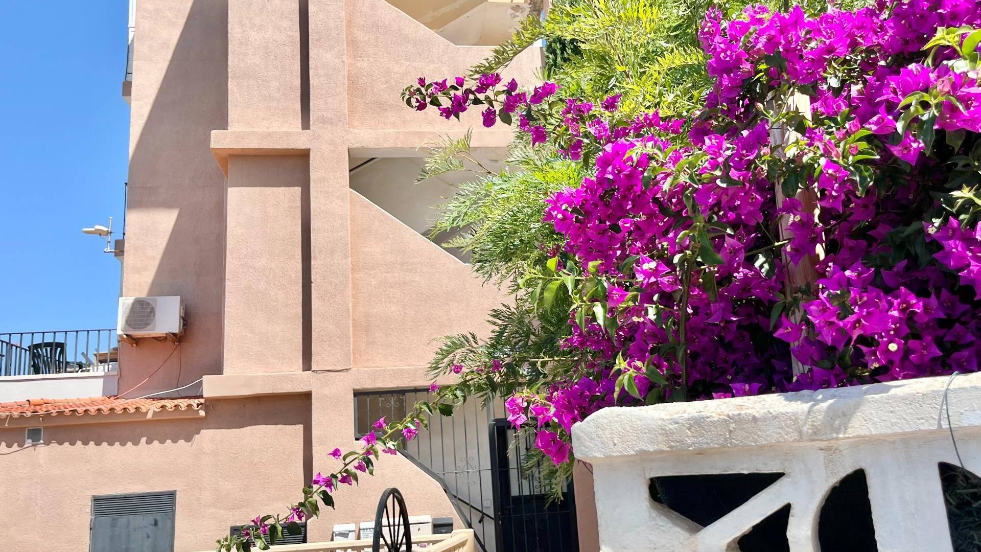 D'occasion - Appartement - Torrevieja - La Mata