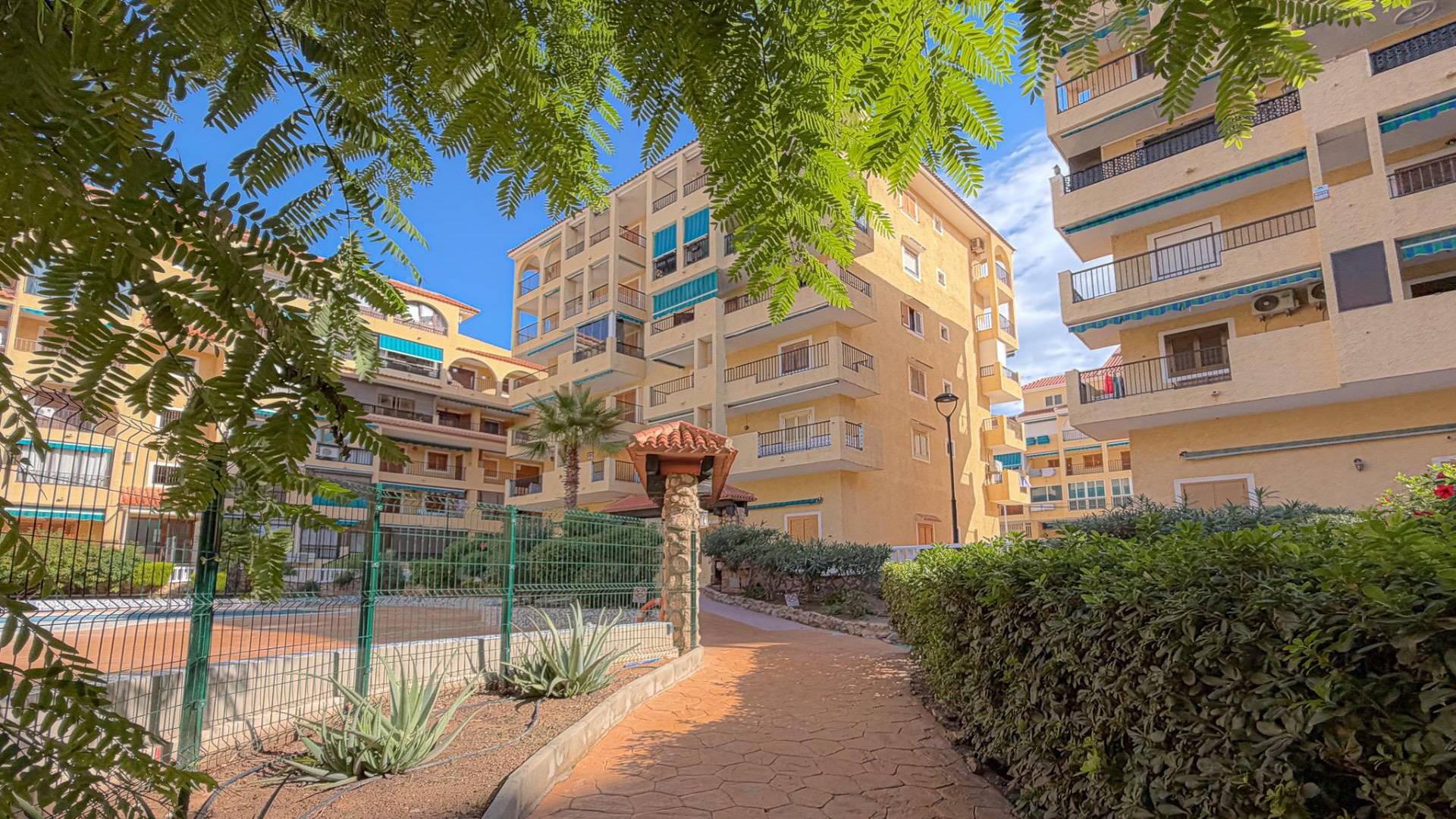 D'occasion - Appartement - Torrevieja - La Mata