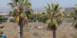 D'occasion - Appartement - Torrevieja - La veleta
