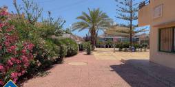 D'occasion - Appartement - Torrevieja - Los Frutales