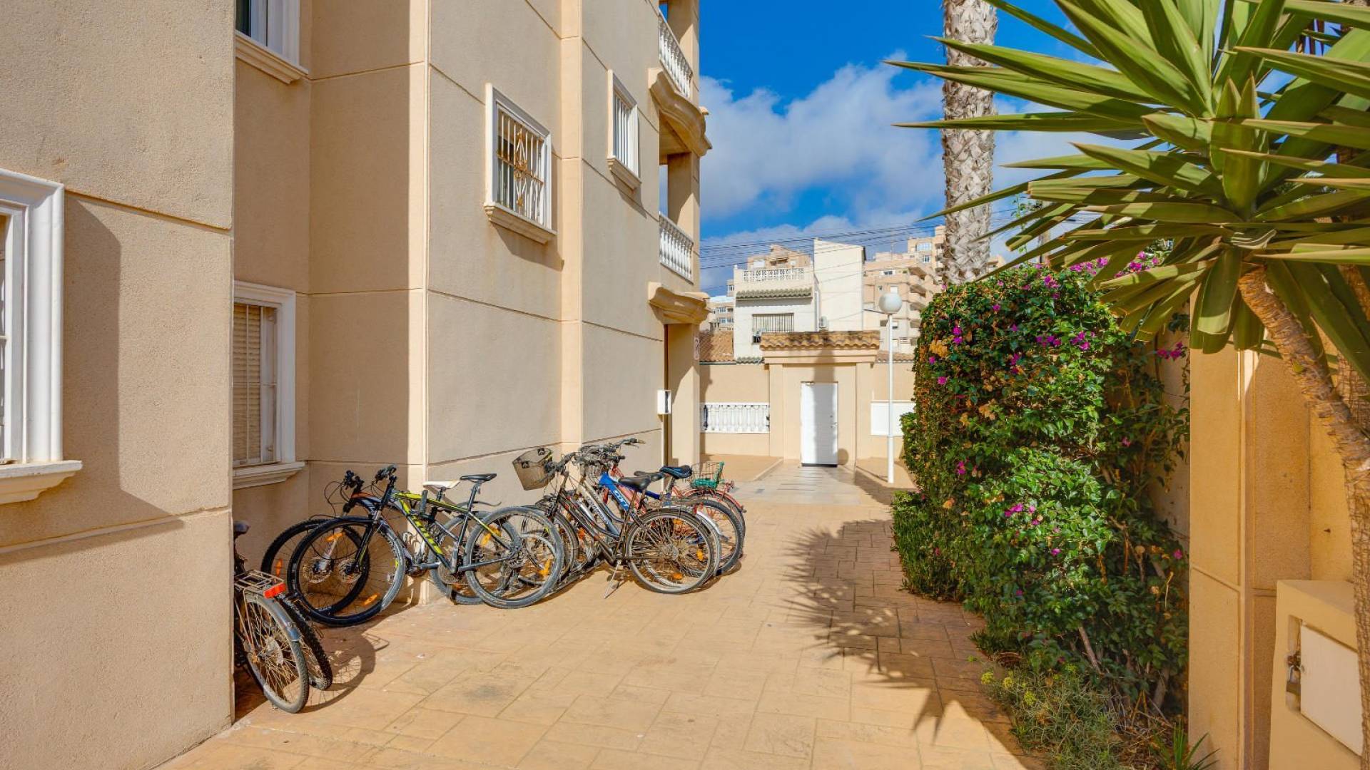 D'occasion - Appartement - Torrevieja - Nueva Torrevieja